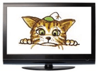Hier gehts zu den TV Infos
